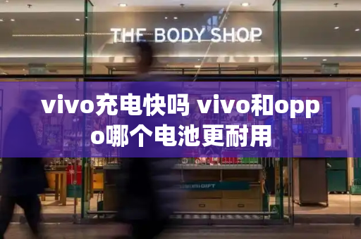 vivo充电快吗 vivo和oppo哪个电池更耐用-第1张图片-星选测评
