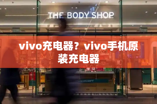 vivo充电器？vivo手机原装充电器
