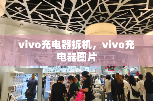 vivo充电器拆机，vivo充电器图片