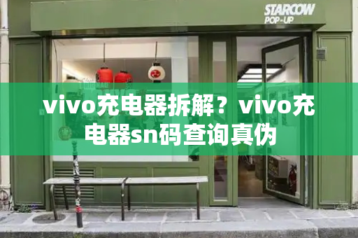 vivo充电器拆解？vivo充电器sn码查询真伪-第1张图片-星选测评