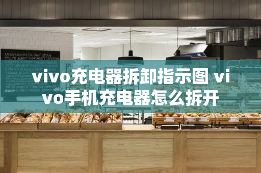 vivo充电器拆卸指示图 vivo手机充电器怎么拆开