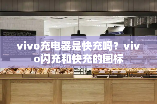vivo充电器是快充吗？vivo闪充和快充的图标-第1张图片-星选测评