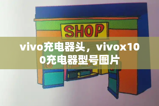vivo充电器头，vivox100充电器型号图片