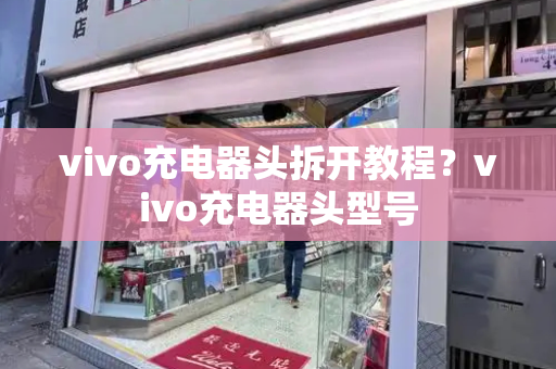 vivo充电器头拆开教程？vivo充电器头型号-第1张图片-星选测评