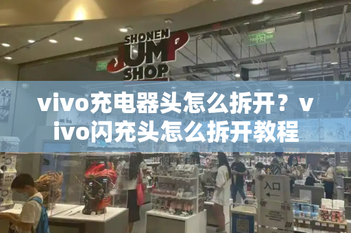 vivo充电器头怎么拆开？vivo闪充头怎么拆开教程-第1张图片-星选测评