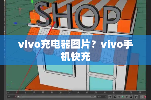 vivo充电器图片？vivo手机快充-第1张图片-星选测评