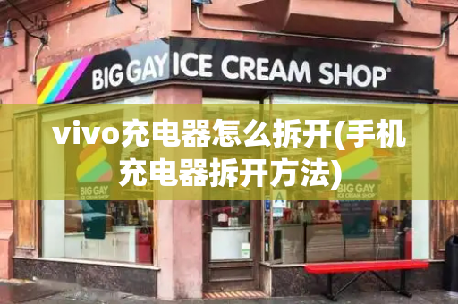 vivo充电器怎么拆开(手机充电器拆开方法)-第1张图片-星选测评