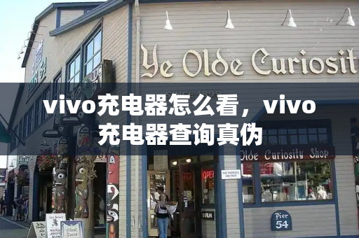 vivo充电器怎么看，vivo充电器查询真伪