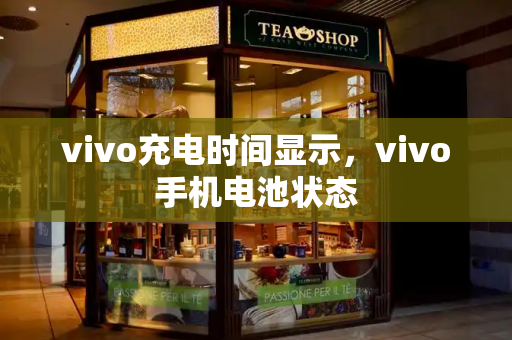 vivo充电时间显示，vivo手机电池状态