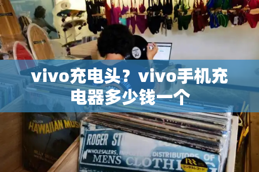 vivo充电头？vivo手机充电器多少钱一个