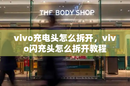 vivo充电头怎么拆开，vivo闪充头怎么拆开教程-第1张图片-星选测评