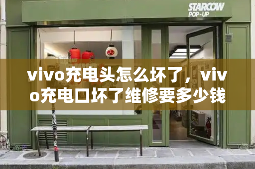 vivo充电头怎么坏了，vivo充电口坏了维修要多少钱