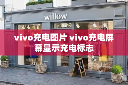 vivo充电图片 vivo充电屏幕显示充电标志-第1张图片-星选测评