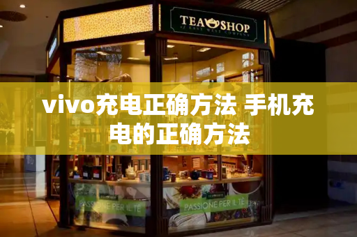 vivo充电正确方法 手机充电的正确方法