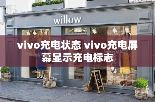 vivo充电状态 vivo充电屏幕显示充电标志-第1张图片-星选测评