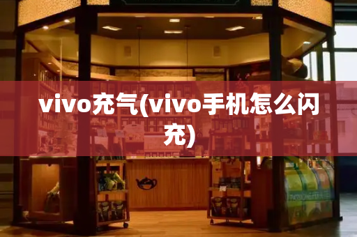 vivo充气(vivo手机怎么闪充)