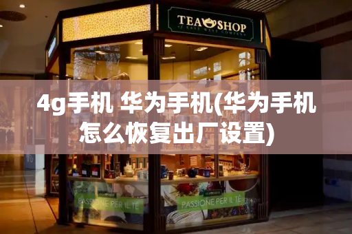 4g手机 华为手机(华为手机怎么恢复出厂设置)-第1张图片-星选测评