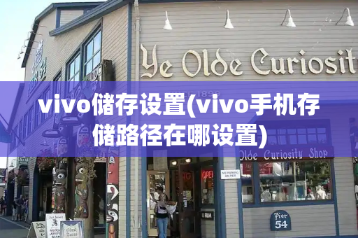 vivo储存设置(vivo手机存储路径在哪设置)