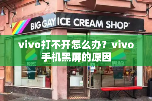 vivo打不开怎么办？vivo手机黑屏的原因