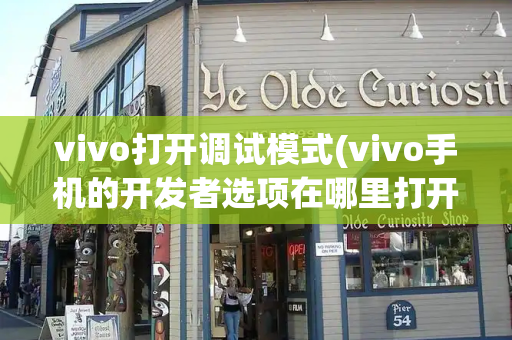vivo打开调试模式(vivo手机的开发者选项在哪里打开)