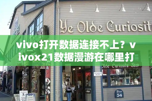 vivo打开数据连接不上？vivox21数据漫游在哪里打开