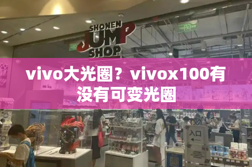 vivo大光圈？vivox100有没有可变光圈