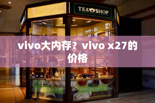 vivo大内存？vivo x27的价格