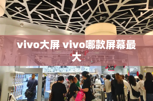 vivo大屏 vivo哪款屏幕最大-第1张图片-星选测评