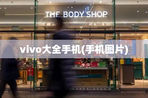 vivo大全手机(手机图片)