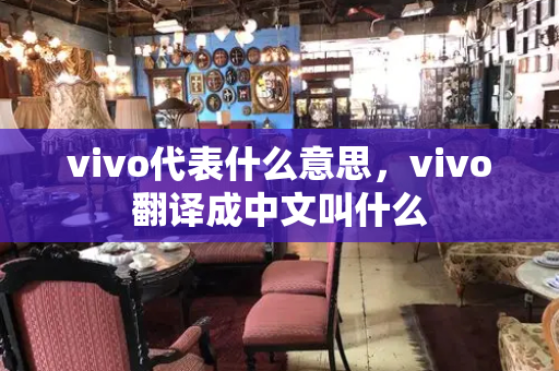 vivo代表什么意思，vivo翻译成中文叫什么