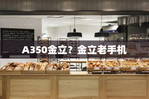 A350金立？金立老手机-第1张图片-星选测评