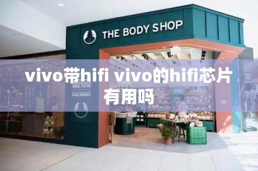 vivo带hifi vivo的hifi芯片有用吗