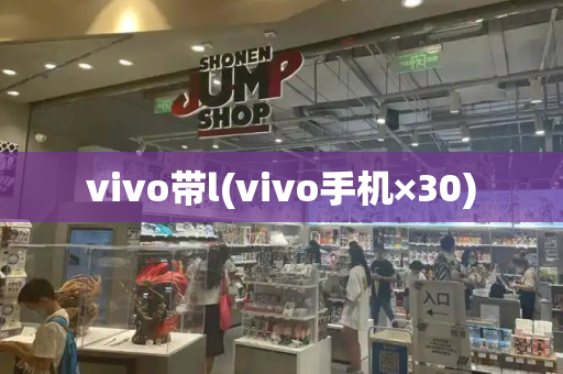 vivo带l(vivo手机×30)-第1张图片-星选测评