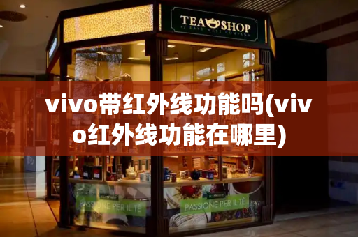 vivo带红外线功能吗(vivo红外线功能在哪里)