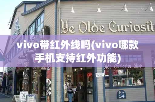 vivo带红外线吗(vivo哪款手机支持红外功能)