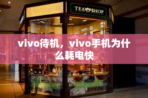 vivo待机，vivo手机为什么耗电快