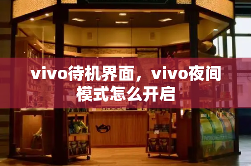 vivo待机界面，vivo夜间模式怎么开启
