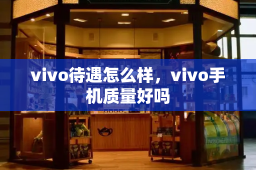 vivo待遇怎么样，vivo手机质量好吗-第1张图片-星选测评