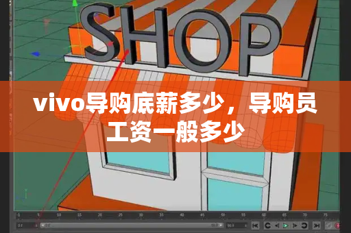 vivo导购底薪多少，导购员工资一般多少
