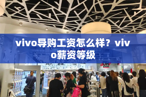 vivo导购工资怎么样？vivo薪资等级-第1张图片-星选测评