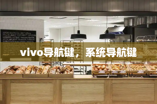 vivo导航键，系统导航键