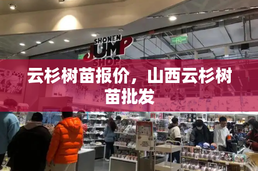 云杉树苗报价，山西云杉树苗批发