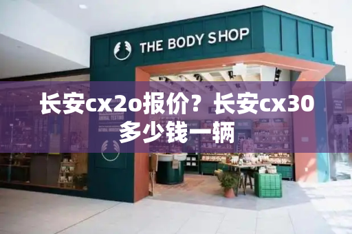 长安cx2o报价？长安cx30多少钱一辆-第1张图片-星选测评