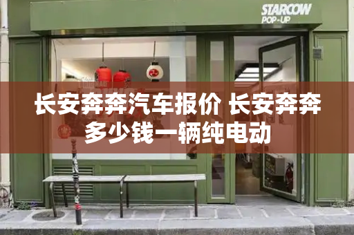 长安奔奔汽车报价 长安奔奔多少钱一辆纯电动
