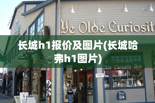 长城h1报价及图片(长城哈弗h1图片)-第1张图片-星选测评