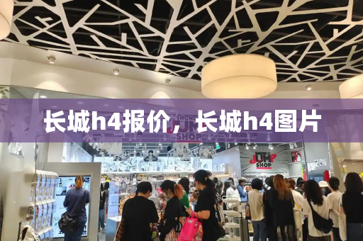 长城h4报价，长城h4图片-第1张图片-星选测评