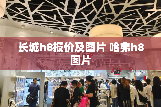 长城h8报价及图片 哈弗h8图片