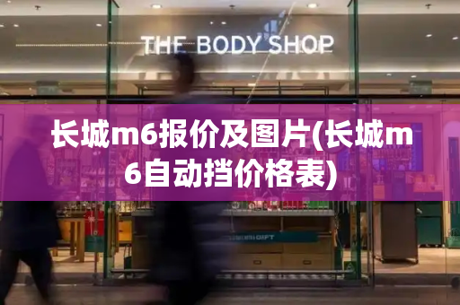 长城m6报价及图片(长城m6自动挡价格表)-第1张图片-星选测评