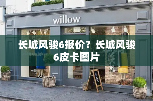 长城风骏6报价？长城风骏6皮卡图片