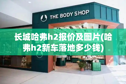长城哈弗h2报价及图片(哈弗h2新车落地多少钱)